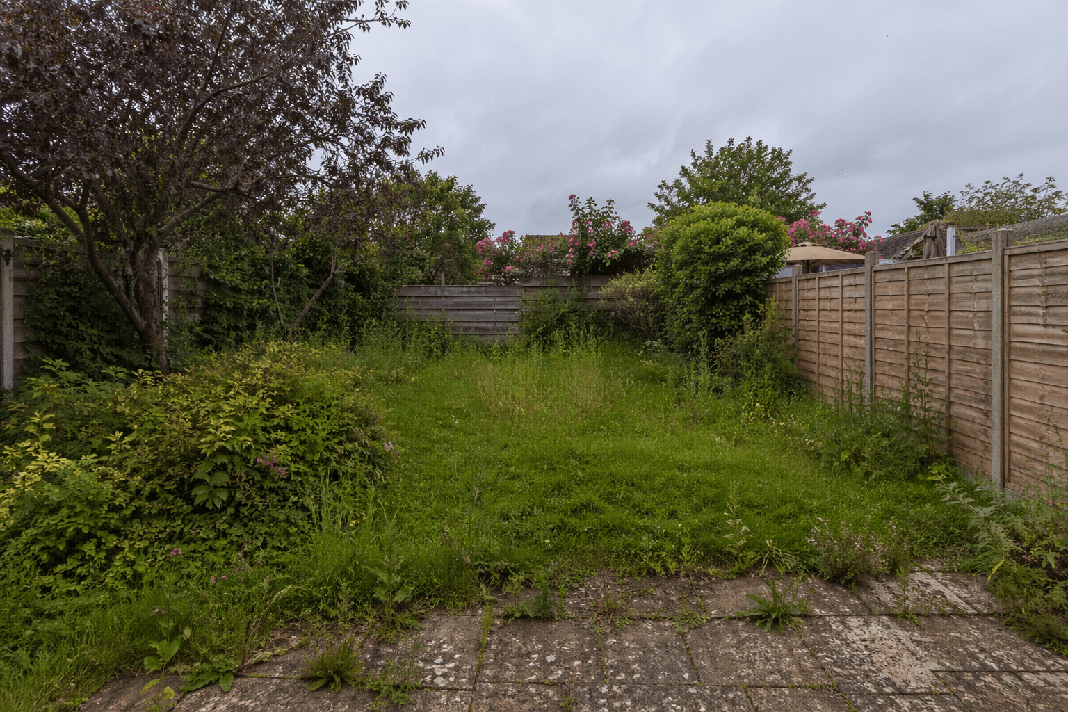 Overgrown yard before GLM Landscaping work