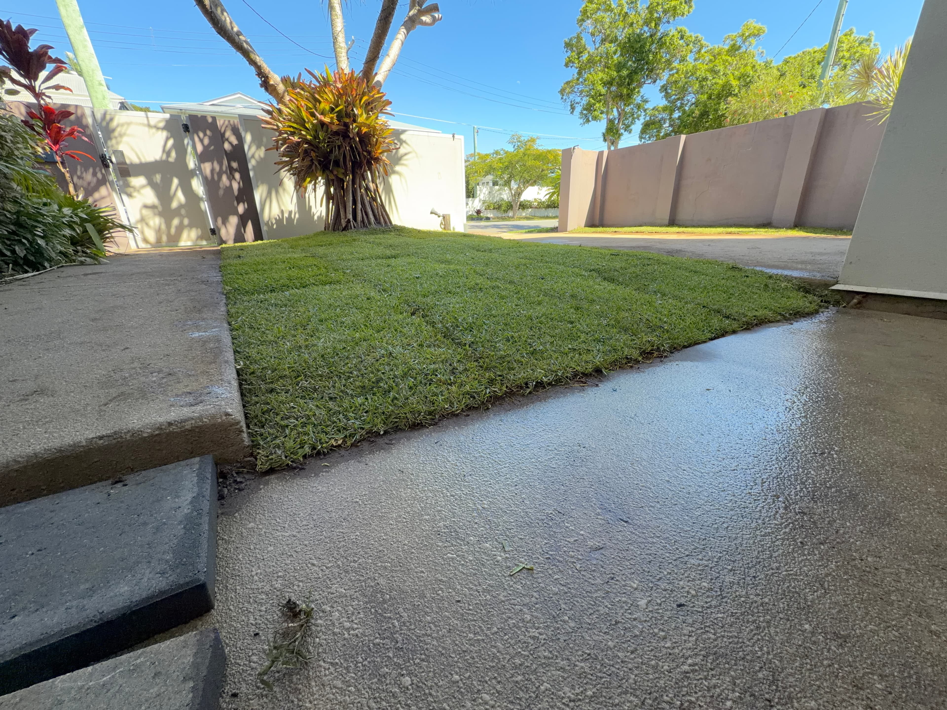 Sharp Lawn Edges